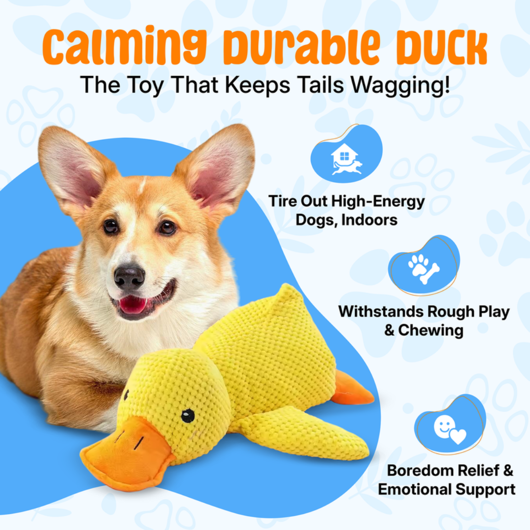 Quiet Joy: The Durable Companion for a Calmer Dog