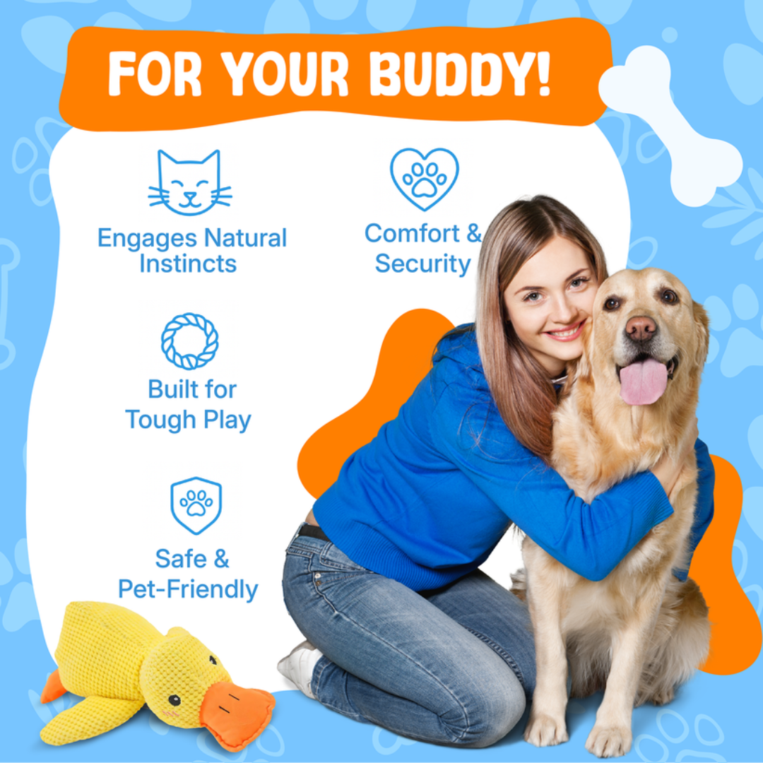 Quiet Joy: The Durable Companion for a Calmer Dog