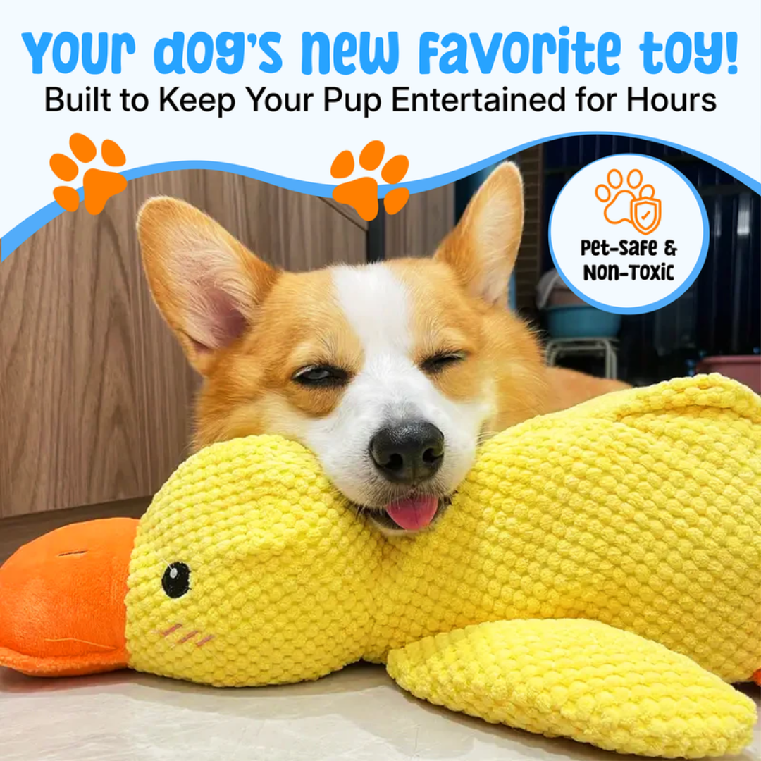 Quiet Joy: The Durable Companion for a Calmer Dog