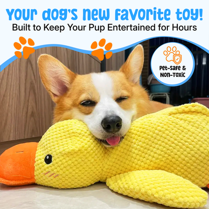 Quiet Joy: The Durable Companion for a Calmer Dog
