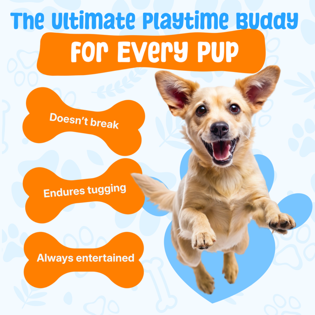Quiet Joy: The Durable Companion for a Calmer Dog